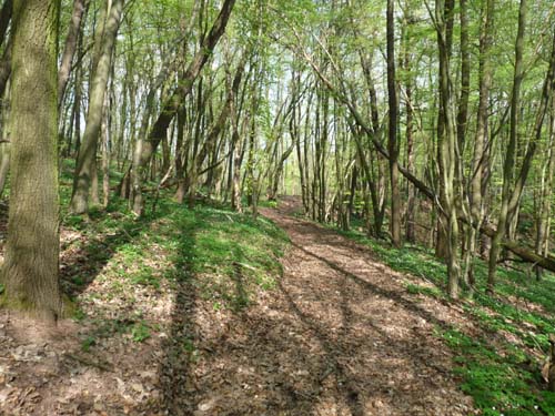 Kella-Rundwanderung-826