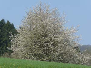 Kella-Rundwanderung-701