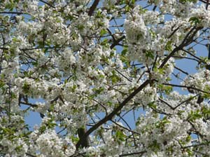 Kella-Rundwanderung-706