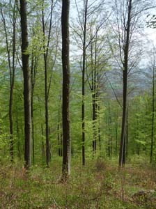 Kella-Rundwanderung-720