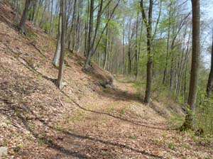 Kella-Rundwanderung-722