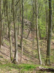 Kella-Rundwanderung-724