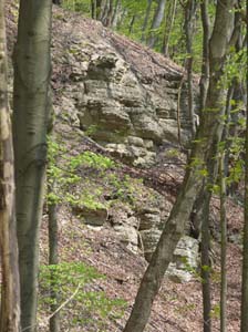 Kella-Rundwanderung-725