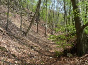 Kella-Rundwanderung-727