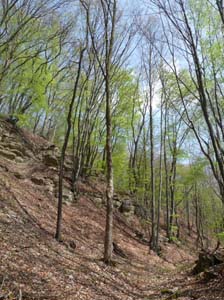 Kella-Rundwanderung-728