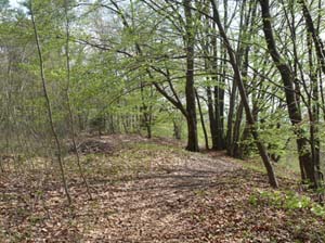 Kella-Rundwanderung-731