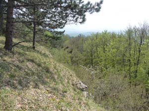 Kella-Rundwanderung-732