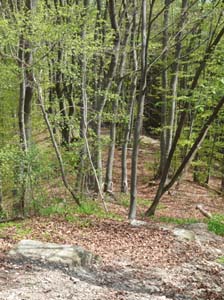 Kella-Rundwanderung-742