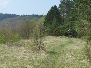 Kella-Rundwanderung-743