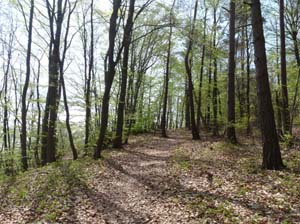 Kella-Rundwanderung-753