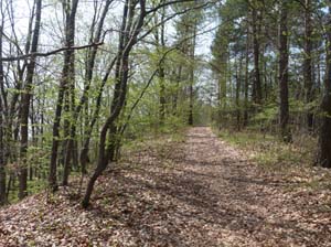 Kella-Rundwanderung-755