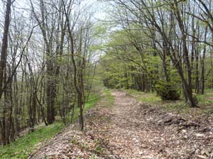 Kella-Rundwanderung-765