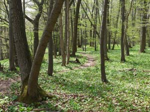 Kella-Rundwanderung-772