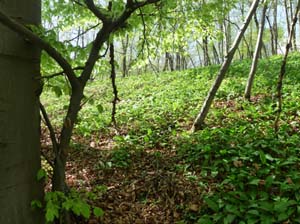 Kella-Rundwanderung-781