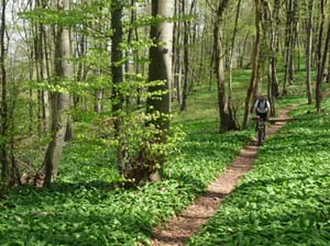 Kella-Rundwanderung-785