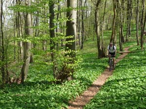 Kella-Rundwanderung-786