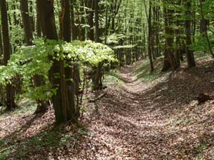 Kella-Rundwanderung-802