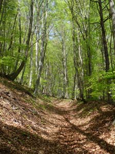 Kella-Rundwanderung-803