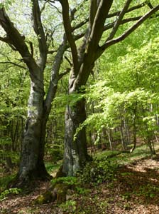 Kella-Rundwanderung-806