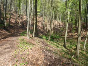 Kella-Rundwanderung-823