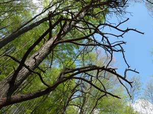 Kella-Rundwanderung-824