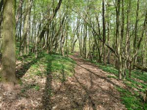 Kella-Rundwanderung-826