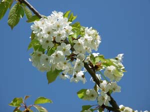 Kella-Rundwanderung-833