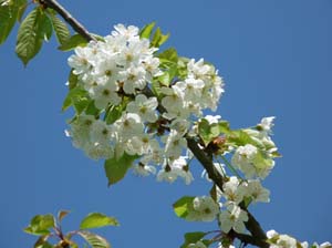 Kella-Rundwanderung-834