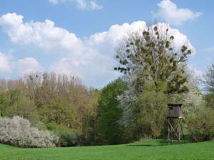 Kella-Rundwanderung-837