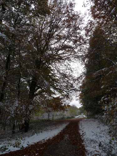 Muehlenberg-Sensenstein-121027-007