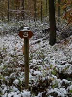 Muehlenberg-Sensenstein-121027-009