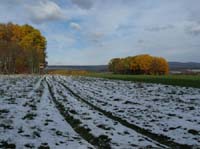 Muehlenberg-Sensenstein-121027-023