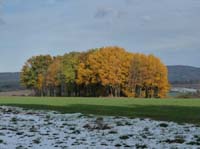 Muehlenberg-Sensenstein-121027-025