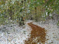 Muehlenberg-Sensenstein-121027-047