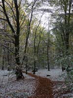 Muehlenberg-Sensenstein-121027-049