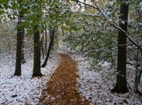 Muehlenberg-Sensenstein-121027-052