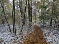 Muehlenberg-Sensenstein-121027-053