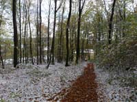 Muehlenberg-Sensenstein-121027-054