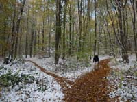 Muehlenberg-Sensenstein-121027-056