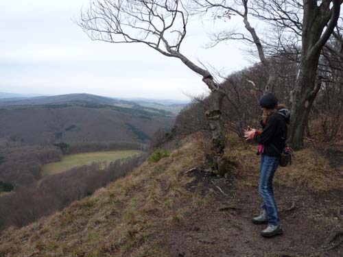 Sickenberg-Runde-011