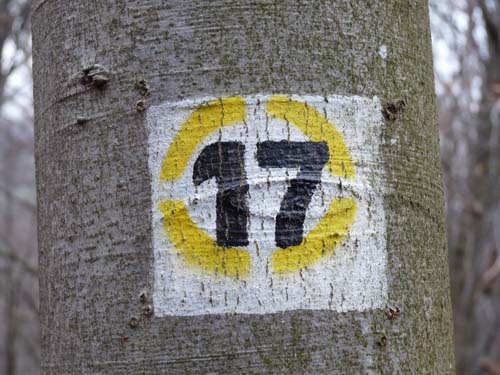 Sickenberg-Runde-017