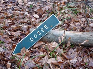 Sickenberg-Runde-001