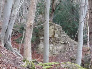 Sickenberg-Runde-002