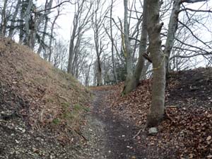 Sickenberg-Runde-007