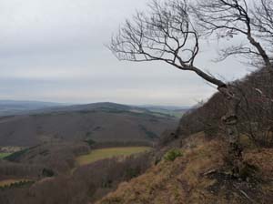 Sickenberg-Runde-008