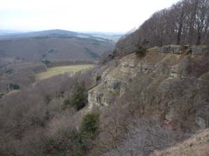 Sickenberg-Runde-010