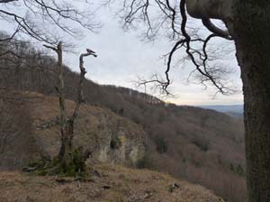 Sickenberg-Runde-016