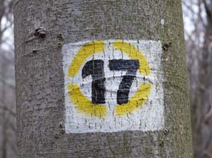 Sickenberg-Runde-017