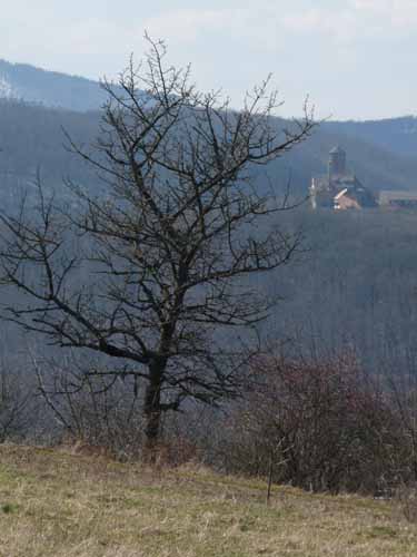 Burg-Hanstein-130401-175