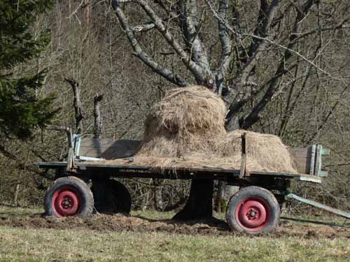 Burg-Hanstein-130401-177